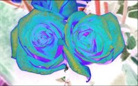 ART0585.jpg