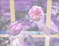 ART0583.jpg