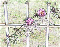 ART0582.jpg