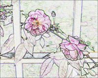 ART0581.jpg