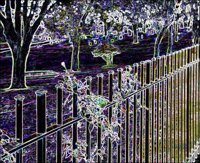 ART0580.jpg
