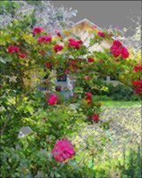 ART0579.jpg