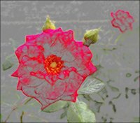 ART0578.jpg
