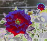 ART0577.jpg