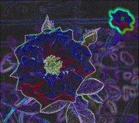 ART0576.jpg