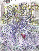 ART0575.jpg