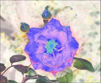 ART0574.jpg