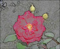 ART0573.jpg