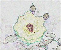 ART0572.jpg