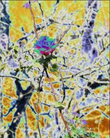 ART0571.jpg