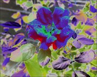 ART0566.jpg