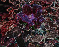 ART0564.jpg