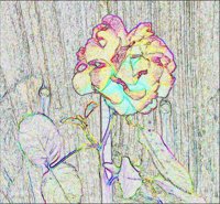 ART0563.jpg