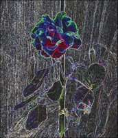ART0562.jpg