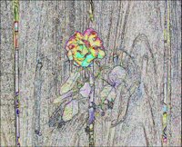ART0561.jpg