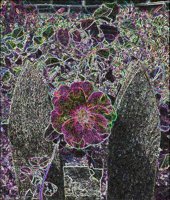 ART0560.jpg
