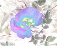 ART0558.jpg