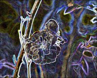 ART0556.jpg
