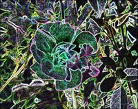 ART0555.jpg