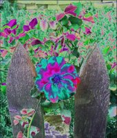 ART0553.jpg