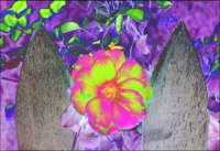 ART0552.jpg