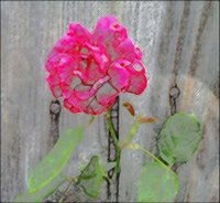ART0551.jpg