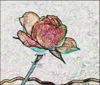 ART0548.jpg