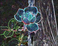 ART0547.jpg