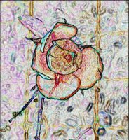 ART0546.jpg