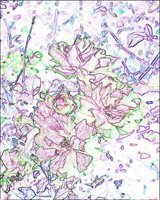 ART0542.jpg