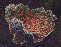 ART0541.jpg