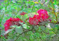 ART0539.jpg