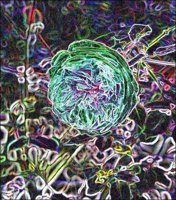 ART0535.jpg