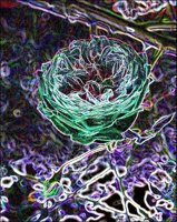 ART0534.jpg