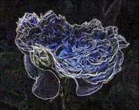 ART0530.jpg