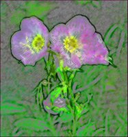 ART0527.jpg