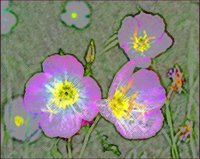 ART0526.jpg