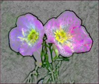 ART0525.jpg