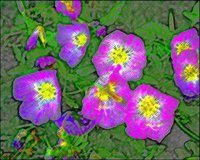 ART0524.jpg
