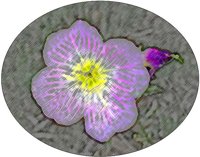 ART0522.jpg