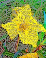 ART0520.jpg