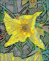 ART0519.jpg