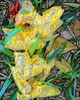 ART0518.jpg