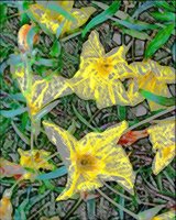 ART0517.jpg
