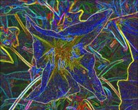 ART0516.jpg