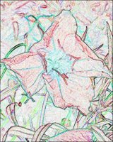 ART0515.jpg