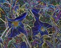 ART0513.jpg
