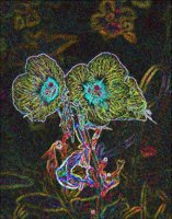 ART0512.jpg