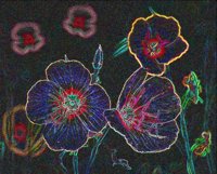 ART0511.jpg