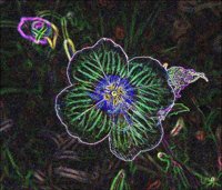 ART0508.jpg